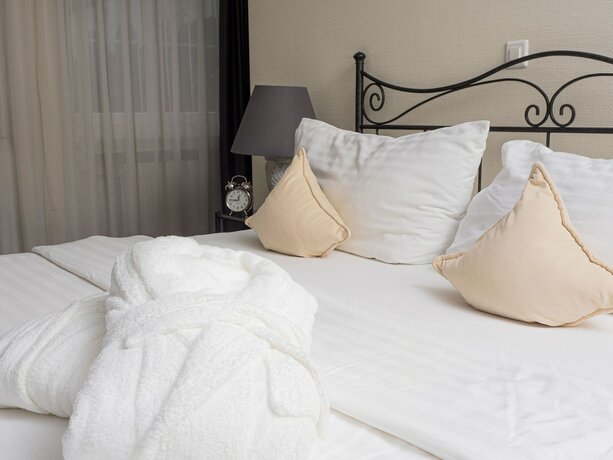 Imagen general del Hotel Rhyhof. Foto 10