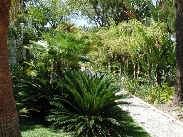 Imagen de los exteriores del Hotel Ria Park Garden. Foto 8