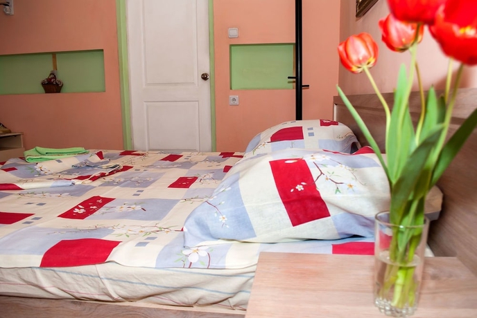 Imagen de la habitación del Hotel Ribachka. Foto 9