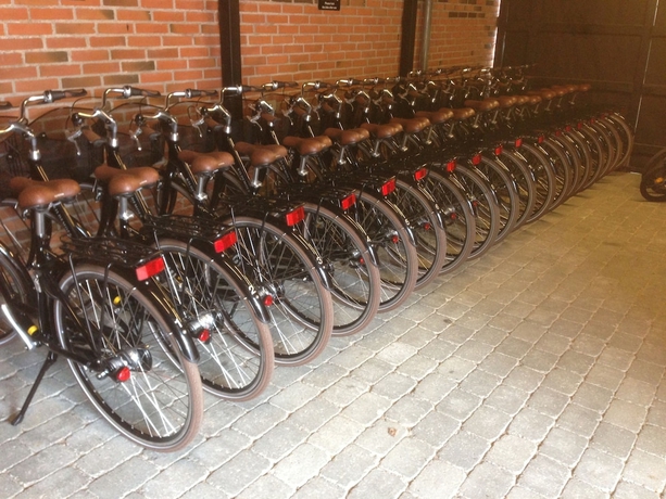 Imagen general del Hotel Ribe Byferie Resort. Foto 3