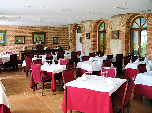 Imagen del bar/restaurante del Hotel Ribera del Duero. Foto 5