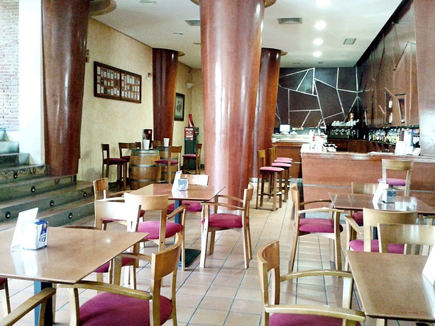 Imagen del bar/restaurante del Hotel Ribera del Duero. Foto 6