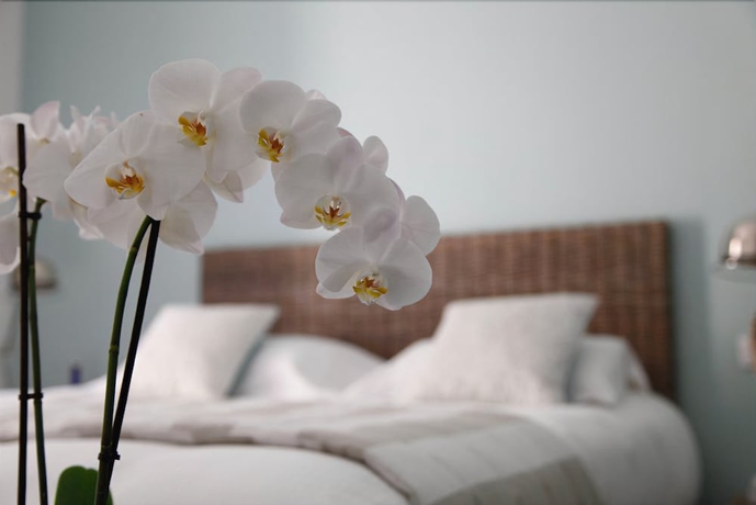 Imagen de la habitación del Hotel Riberach. Foto 12