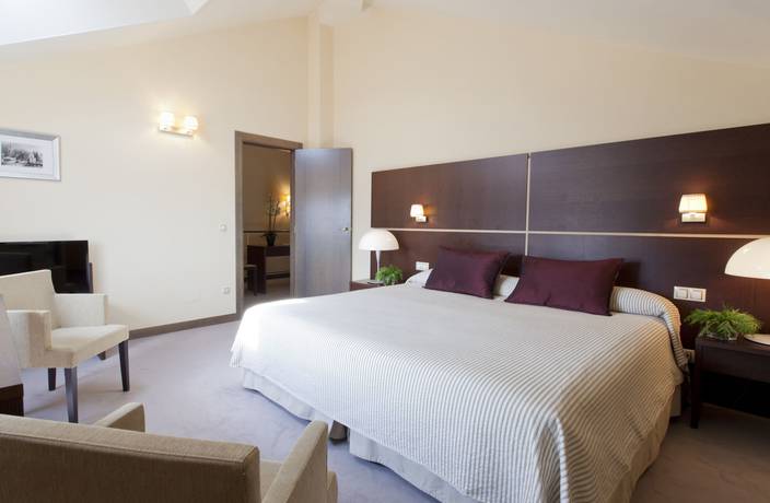 Imagen de la habitación del Hotel Rice Palacio De Los Blasones. Foto 5