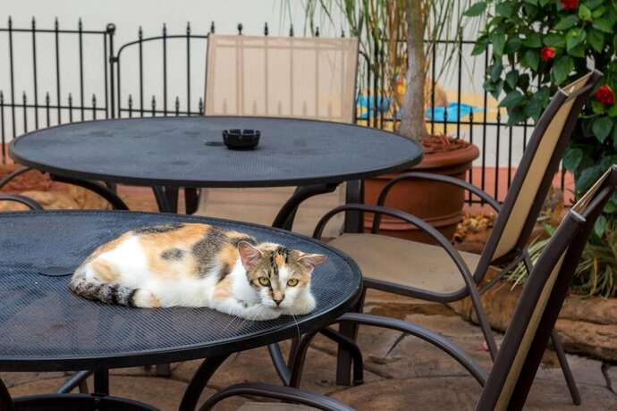 Imagen general del Hotel Richard\'s Pet Friendly Motel. Foto 7
