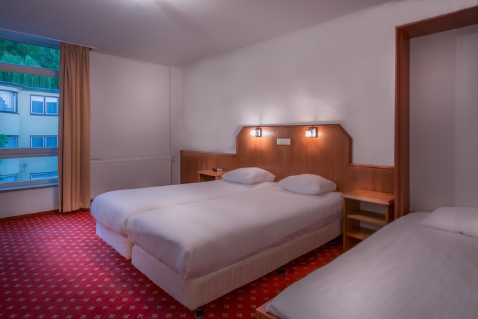 Imagen de la habitación del Hotel Riche. Foto 9