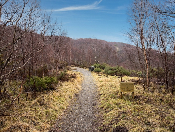 Imagen general del Hotel Richmond Arms. Foto 6