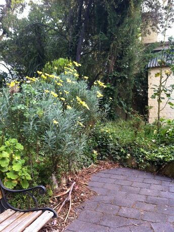 Imagen de los exteriores del Hotel Richmond Cottages Tasmania. Foto 9