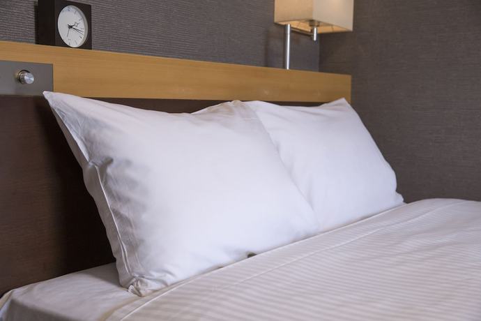 Imagen de la habitación del Hotel Richmond Kumamoto Shinshigai. Foto 3