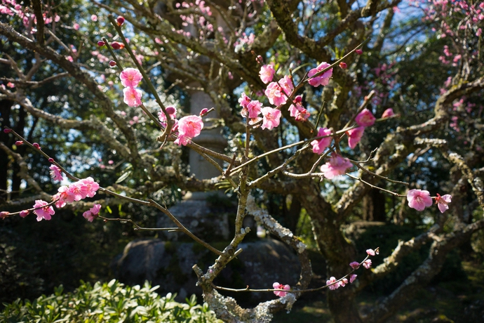 Imagen de los exteriores del Hotel Richmond Narita. Foto 13