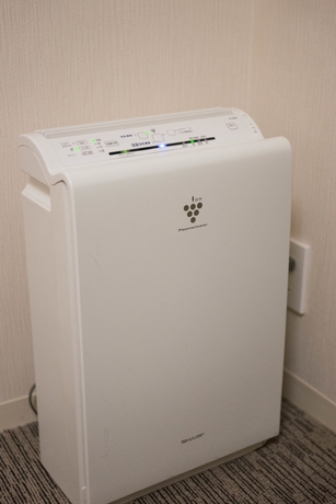 Imagen de la habitación del Hotel Richmond Narita. Foto 10