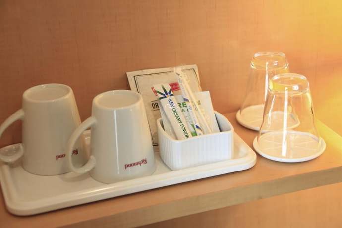 Imagen de la habitación del Hotel Richmond Tokyo Shiba. Foto 8