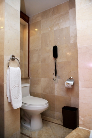 Imagen de la habitación del Hotel Richmonde Ortigas. Foto 7