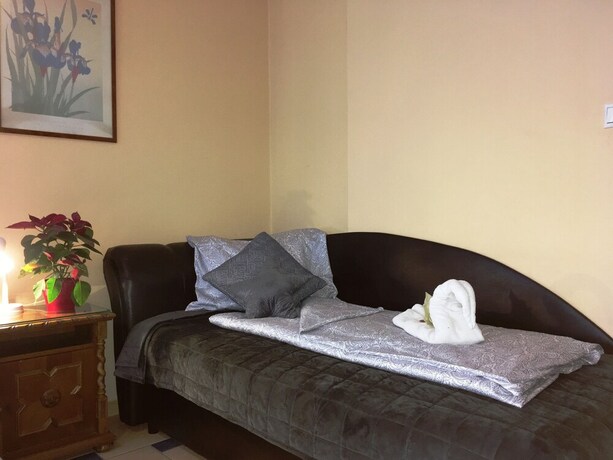 Imagen de la habitación del Hotel Richter Pansion. Foto 22
