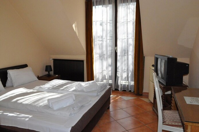 Imagen de la habitación del Hotel Richter Pansion. Foto 33