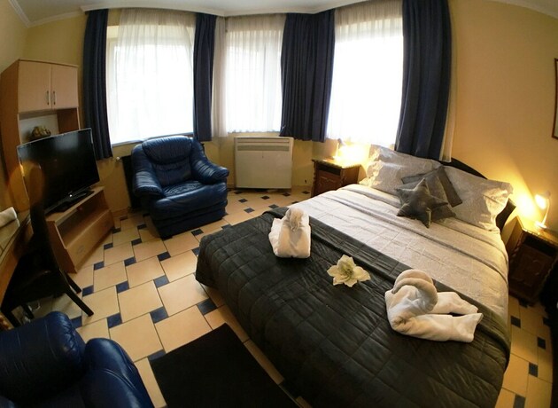 Imagen de la habitación del Hotel Richter Pansion. Foto 35
