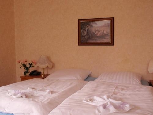 Imagen general del Hotel Richthofen. Foto 3