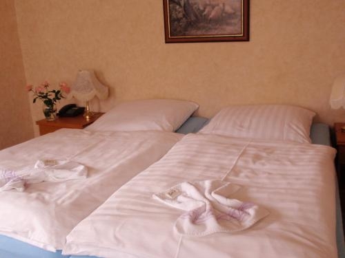 Imagen general del Hotel Richthofen. Foto 5