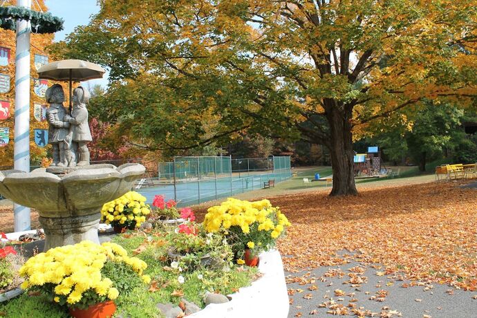 Imagen general del Hotel Riedlbauer\'s Resort. Foto 11