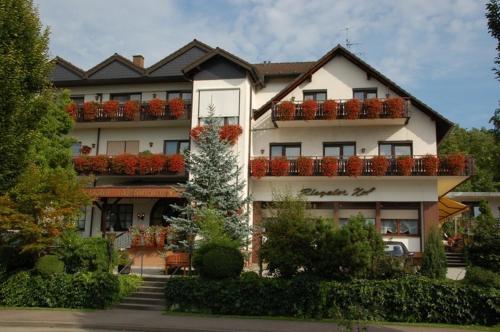 Imagen general del Hotel Riegeler Hof. Foto 3