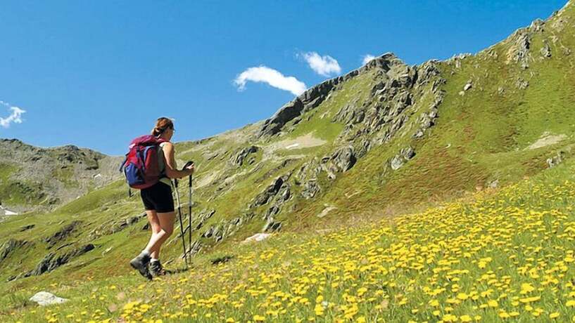 Imagen general del Hotel Rifugio Alantino. Foto 7