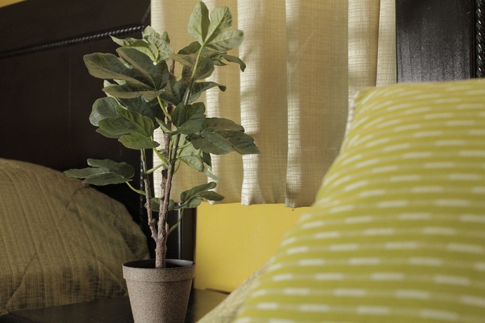 Imagen de la habitación del Hotel Rig Casa Conde. Foto 4