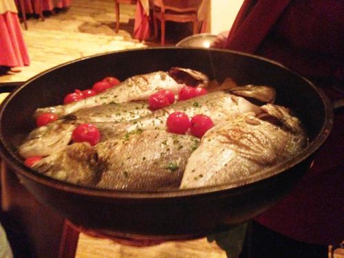 Imagen general del Hotel Rigat Park and Spa. Foto 9