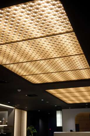 Imagen general del Hotel Rihga Place Kyoto Shijo Karasuma. Foto 6