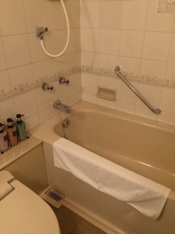 Imagen de la habitación del Hotel Rihga Royal Niihama. Foto 10