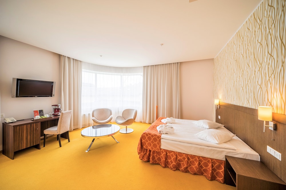 Imagen de la habitación del Hotel Rija Vef. Foto 9