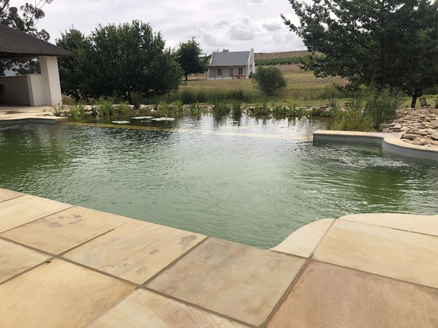 Imagen de la piscina del Hotel Rijks Wine Estate and - Adults Only. Foto 20