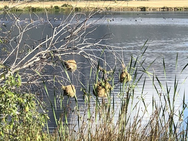 Imagen general del Hotel Rijks Wine Estate and - Adults Only. Foto 3