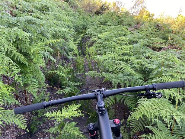 Imagen general del Hotel Rijks Wine Estate and - Adults Only. Foto 4