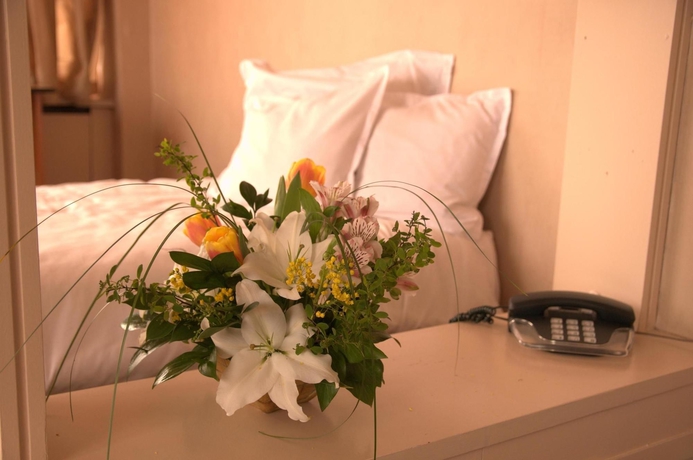 Imagen de la habitación del Hotel Rila Sofia. Foto 3