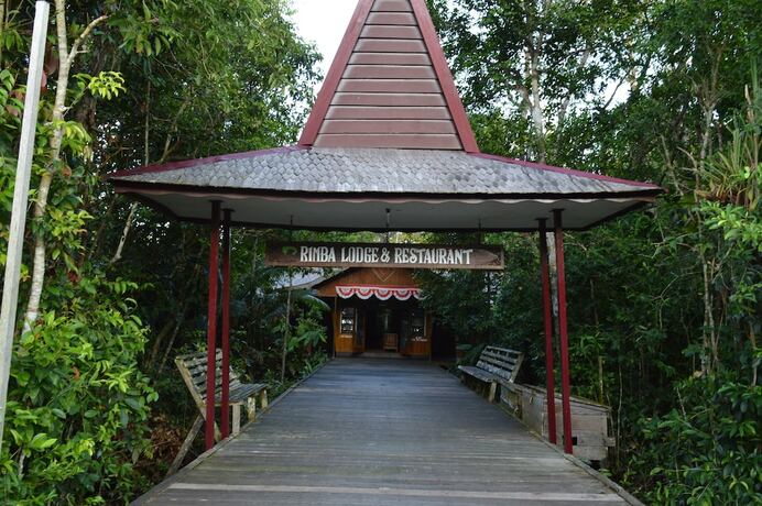 Imagen general del Hotel Rimba Orangutan Eco Lodge. Foto 12