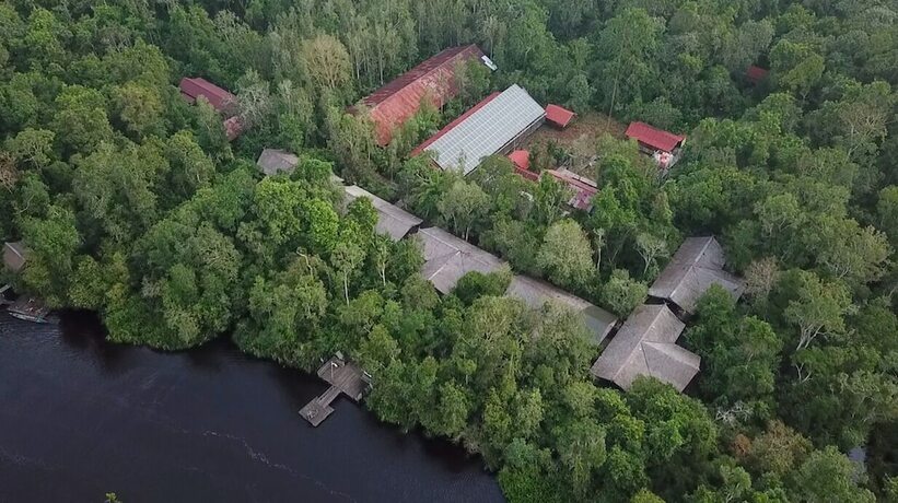 Imagen general del Hotel Rimba Orangutan Eco Lodge. Foto 16