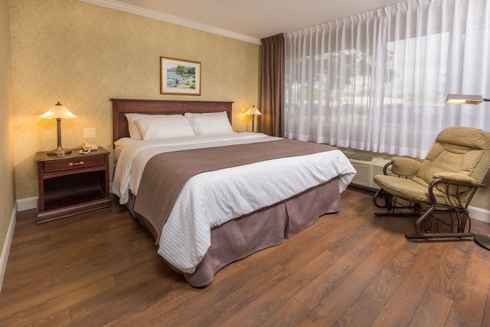 Imagen de la habitación del Hotel Rimouski. Foto 9