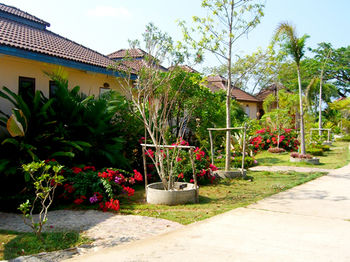 Imagen de los exteriores del Hotel Rimpu Hill Resort. Foto 5