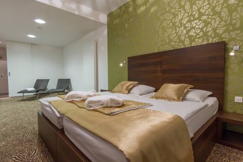 Imagen de la habitación del Hotel Rimske Terme Resort. Foto 7