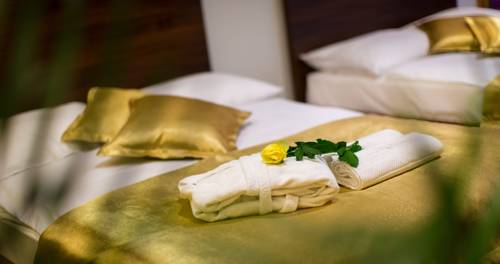 Imagen de la habitación del Hotel Rimske Terme Resort. Foto 9