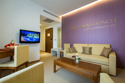 Imagen de la habitación del Hotel Rimske Terme - Zdraviliski Dvor. Foto 13