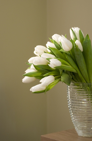 Imagen de los interiores del Hotel Rinascimento. Foto 11