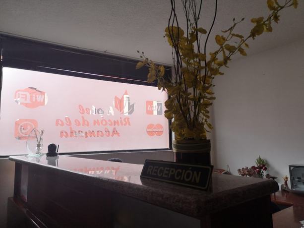 Imagen de los interiores del Hotel Rincon de la Alameda. Foto 18