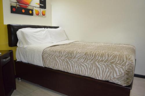 Imagen general del Hotel Rincon del Cielo, San Juan de los Lagos. Foto 9