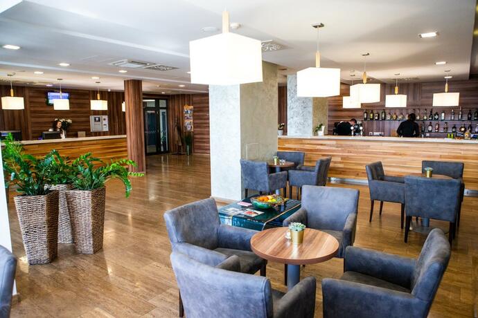 Imagen general del Hotel Ring, Dunajsk&aacute; Streda. Foto 44