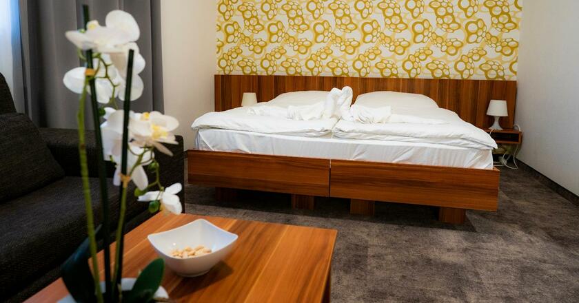 Imagen general del Hotel Ring. Foto 5