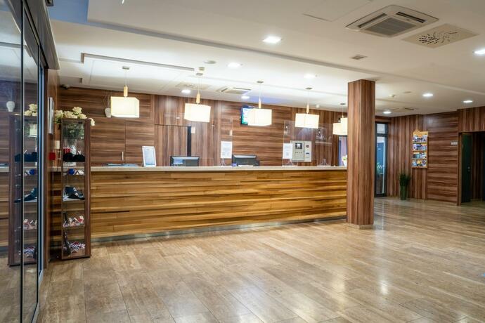 Imagen general del Hotel Ring. Foto 10