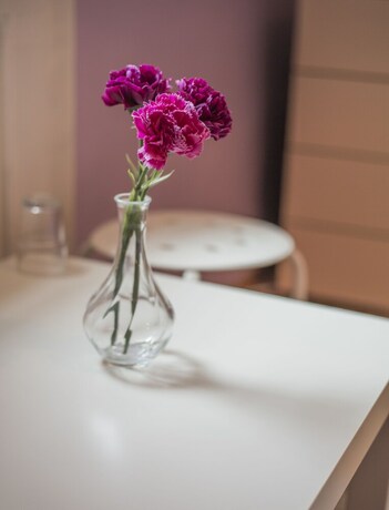 Imagen de la habitación del Hotel Ring, Sofia. Foto 29