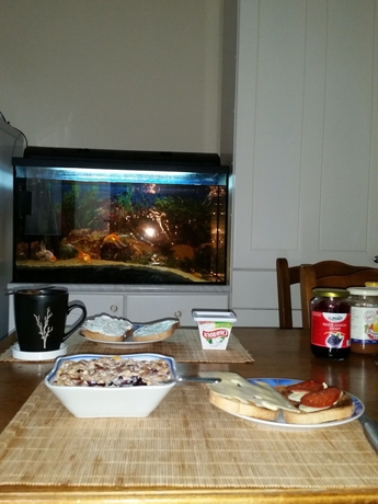 Imagen de la habitación del Hotel Ringavenue Apartments. Foto 8