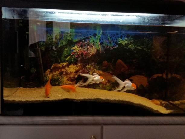 Imagen de los interiores del Hotel Ringavenue Apartments. Foto 16